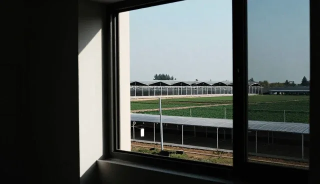 政府网站建设宣传片制作如何提升形象与影响力