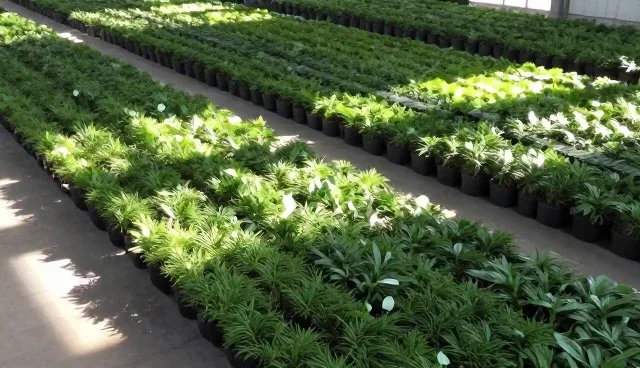 技术升级推动设备维护效率提升的实践路径