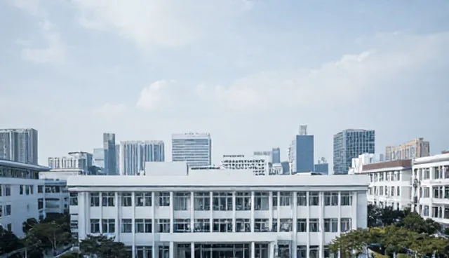 信息咨询业务的检查流程适用情况与限制分析