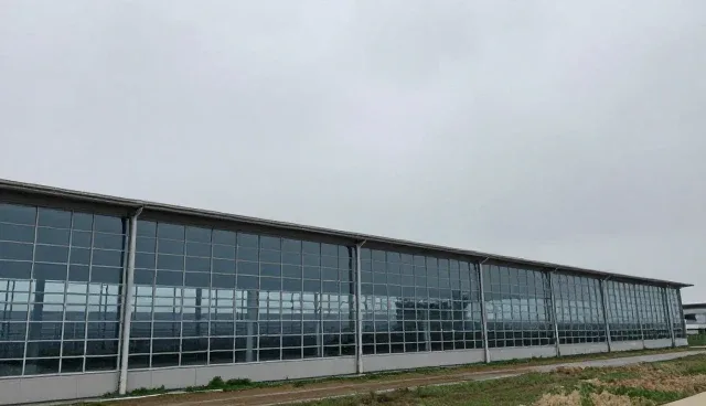选型关注点影响维护建议效果的原因分析