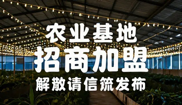 信息发布场景中的数据准确性挑战与应对策略