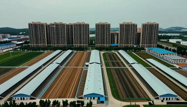 提升小程序性能的关键：网络稳定性与适用条件分析