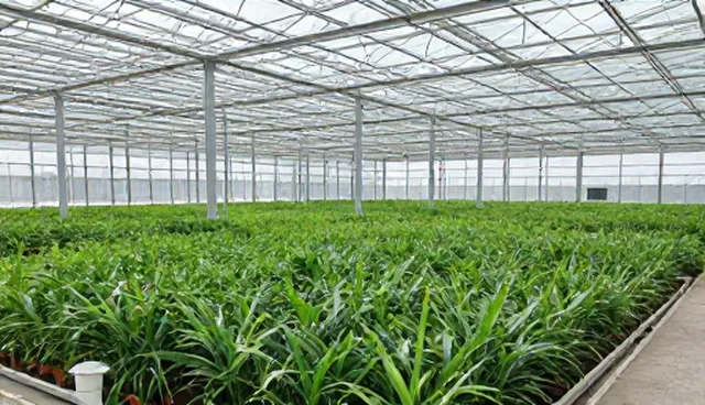 农资供应时效性不足影响种植管理效率