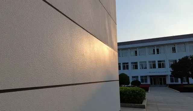 技术外包中成本控制对项目结果的影响