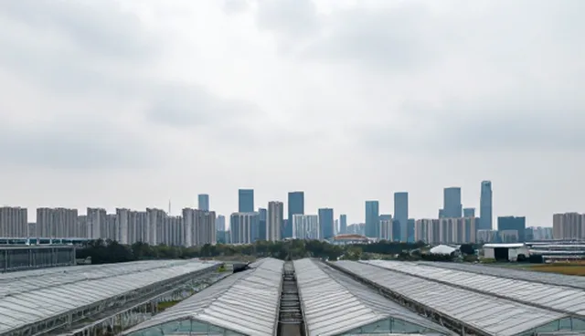 管理咨询在企业数字化转型中的关键应用场景