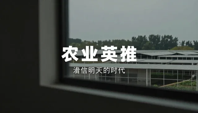 宣传片文案设计如何适应不同场景与需求