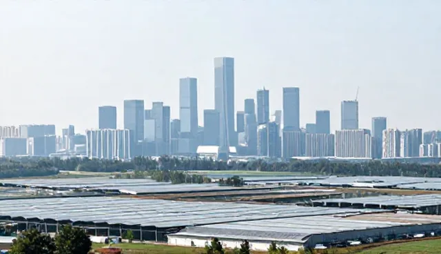 技术适配中的场景应用与适配流程