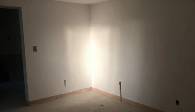 市场调研中项目包括信息的选型与应用建议