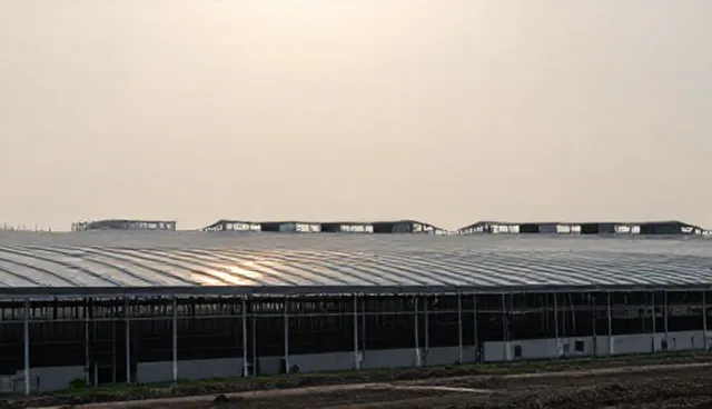 账号代运营中场景拓展的实战环节解析