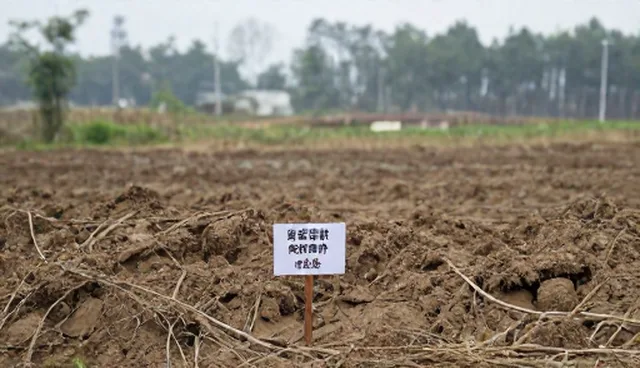 土地评估中常见问题如何有效处理？