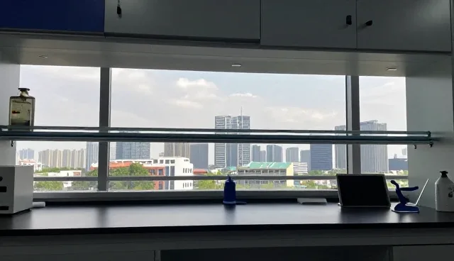 信息同步效率低下，如何提升企业名录查询体验