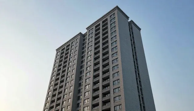 系统集成服务中的维护策略：性能与适用条件的平衡