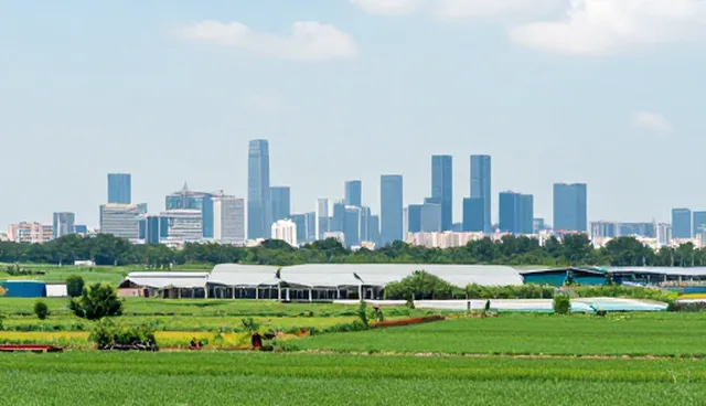 内容审核如何影响服务器性能与适用条件