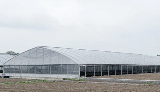 名录：信息获取在企业展示套餐中的应用分析