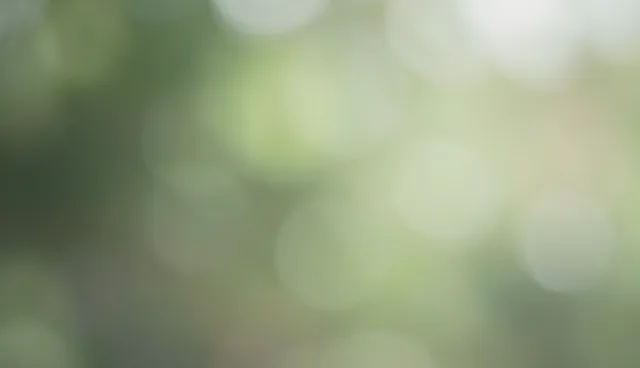 技术外包服务中的使用与维护建议