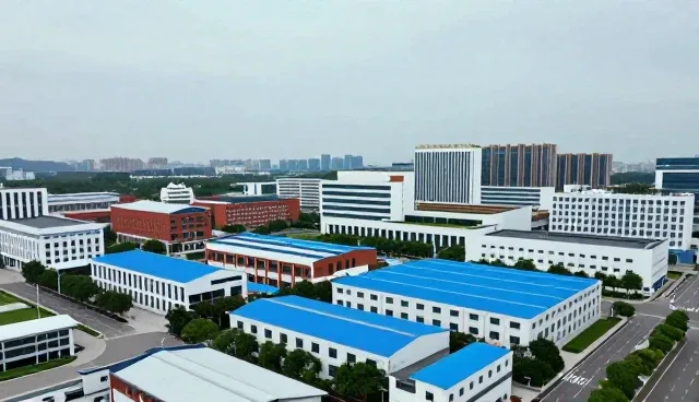 本地化服务在性能优化中的关键作用