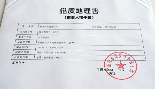 检测报告在批发供货中的实际应用与价值