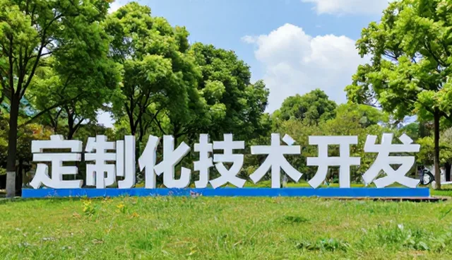 技术咨询在不同性能需求下的适用条件分析