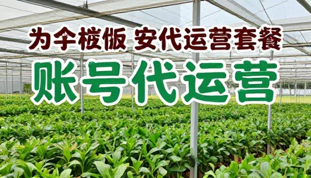 直播运营中流程管理的常见问题与应对策略