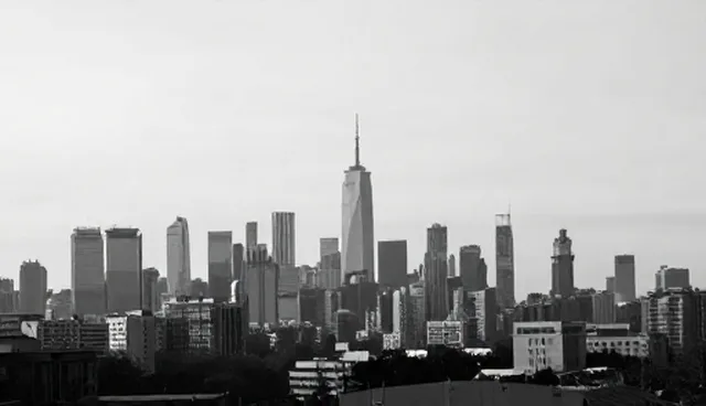 管理办法在不同组织场景中的性能差异与适用条件分析
