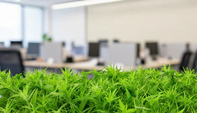 SD负面提示词选型与使用建议