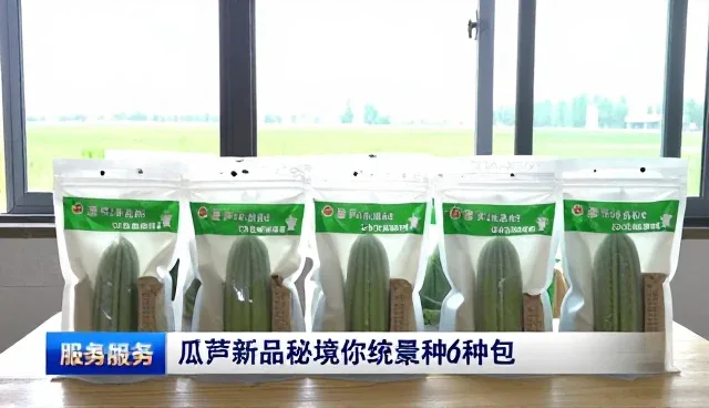 从流程优化到体验提升：如何选择适合的系统方案