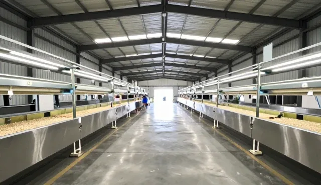 农业种植技术指导中的常见问题与解决策略