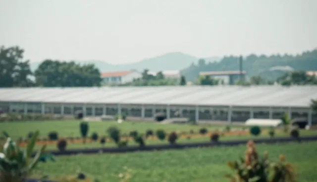 青岛建站过程中选型关注点对结果的影响