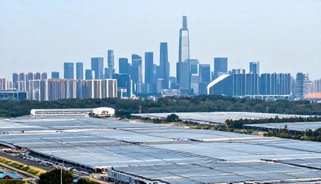 网络推广中效率提升的关键问题及应对策略