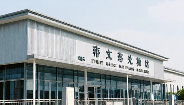 医师团队术后修复与护理指导检查要点分析