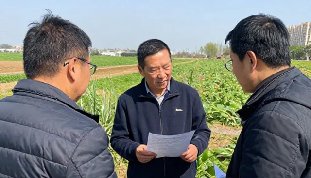 智慧农业如何推动基地合作模式升级