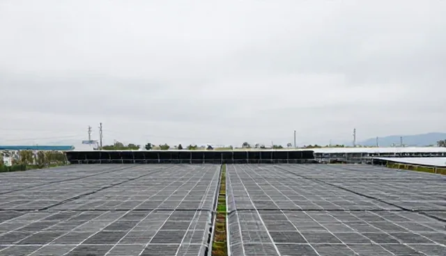 技术咨询中使用与维护建议的常见问题处理方法
