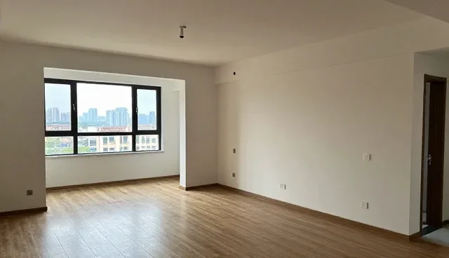 网站建设服务商：信息发布平台的构建与优化
