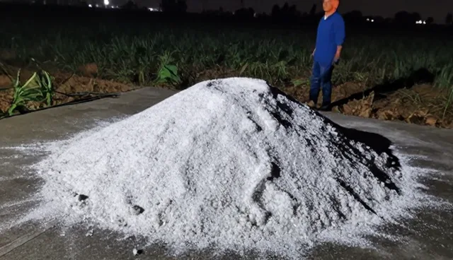 农产品损耗问题：种植与运输环节的处理对策