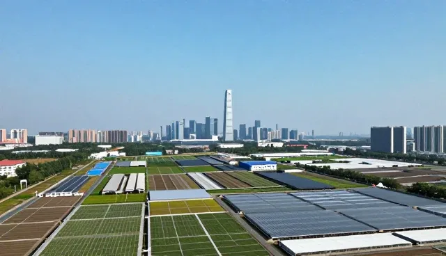 系统实施中的技术演进与业务适配策略