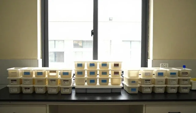 运输托盘在批量生产中的流程优化实践