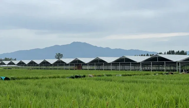电商代运营选型中的行业趋势与核心关注点