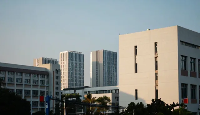 技术咨询解决性能瓶颈，优化系统适用条件