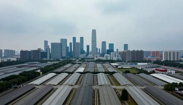 企业名录查询在数据同步中的关键作用与选型考量