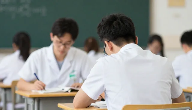 教学效率如何平衡标准化与个性化