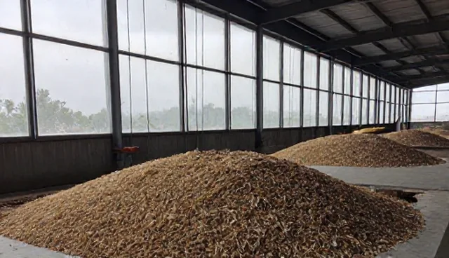 农产品供应链中的技术赋能实践