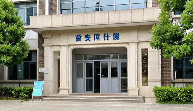 专项策划服务在项目执行中的关键作用与实际应用