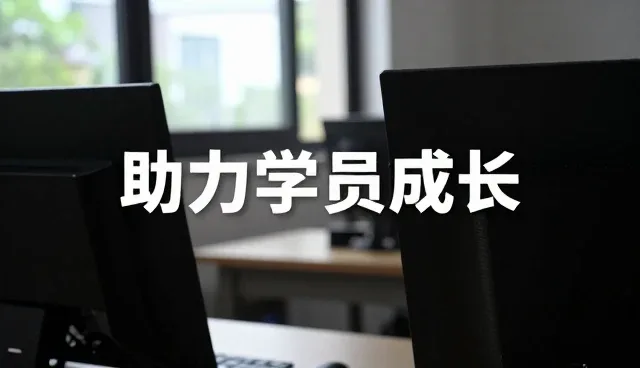 学习支持系统在不同场景下的性能表现与适用条件