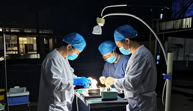 规范诊疗中的临床诊疗数据管理选型建议