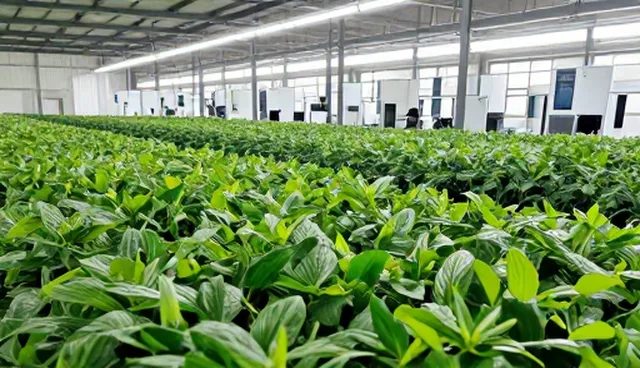 如何通过活动策划提升用户互动效率