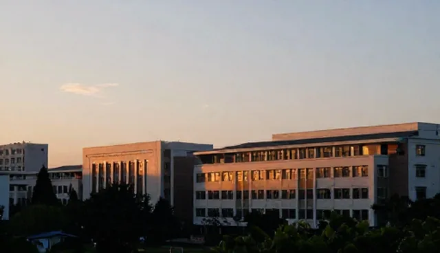 应用开发方案设计：性能优化与适用条件选型建议