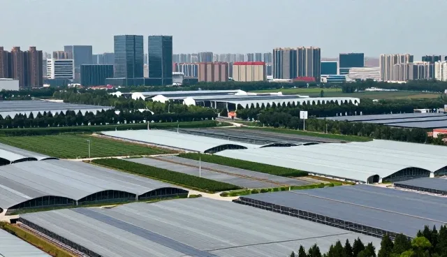 成都微信功能开发在企业名录查询中的适用条件与选择依据