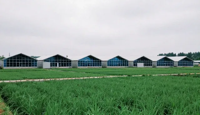 接口规范在业务适配中的实践与维护要点