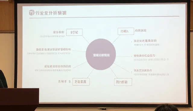 行业分析中管理问题的识别与应对策略