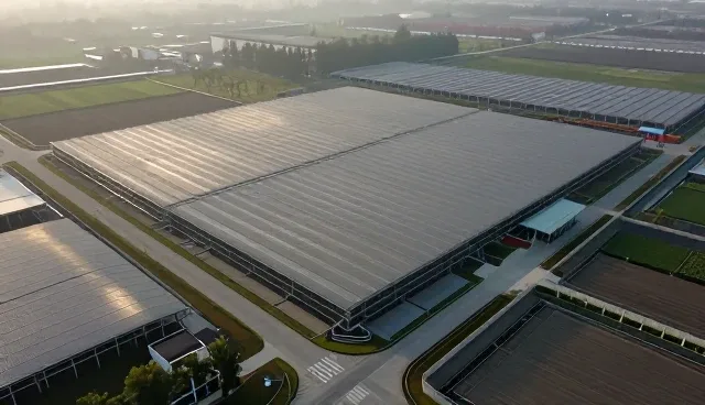 区域检索功能在黄页服务中的应用与优化建议
